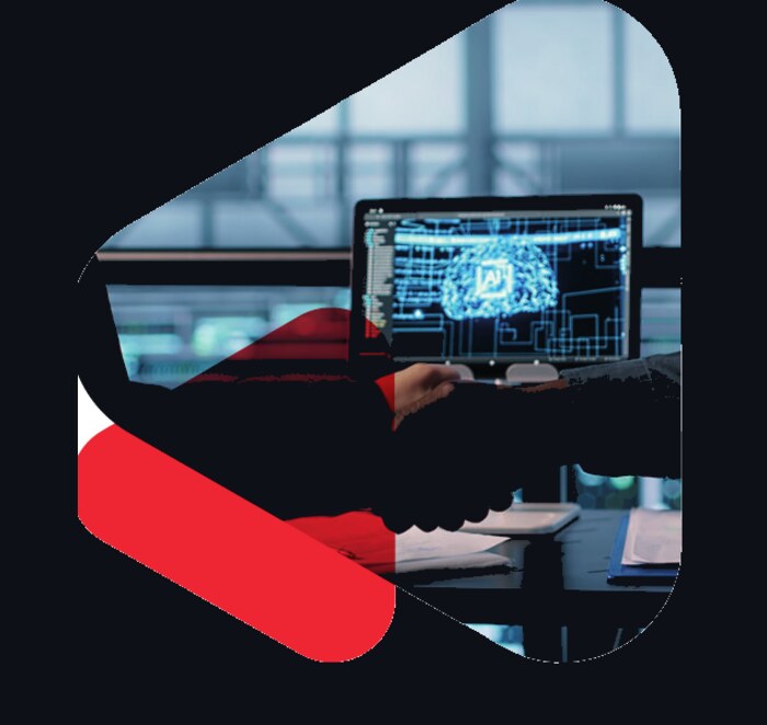 AI Security & Governance Advisory